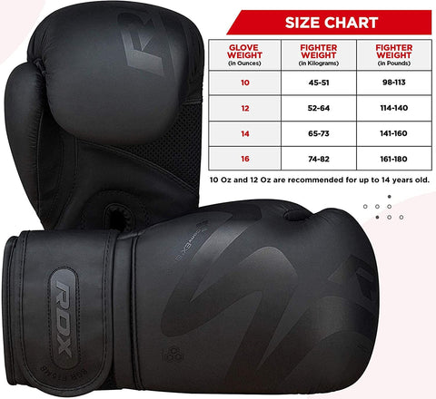 RDX F15 Noir Boxing Glove