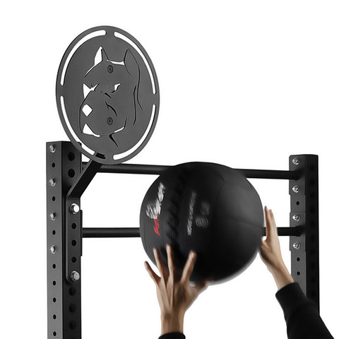 Wall Ball Target for Rig - RIG1011