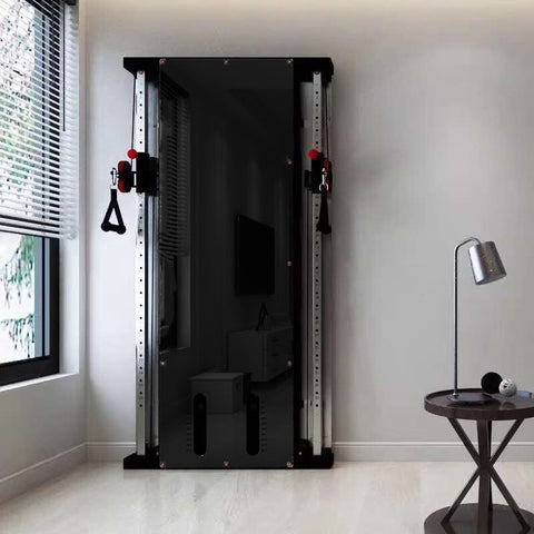 Entraîneur fonctionnel mural AmStaff Fitness SpaceSmart