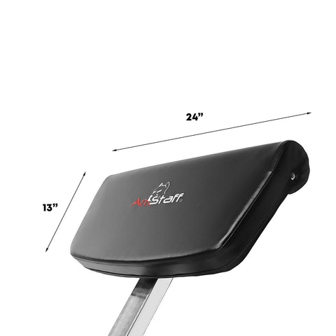 AmStaff TS028 Banc de curl prédicateur