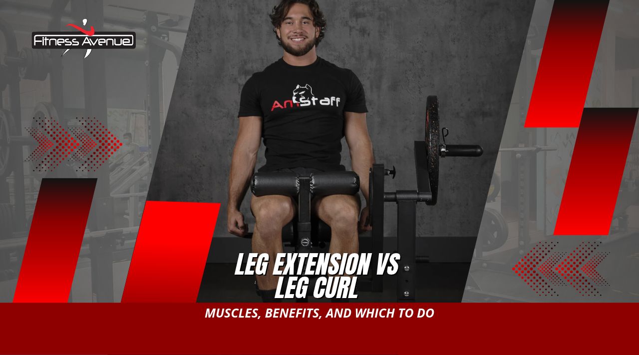 Leg Extension vs Leg Curl