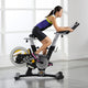 ProForm Le Tour De France TDF 1.0