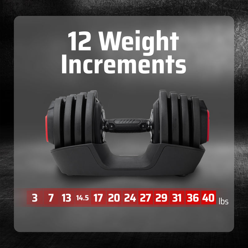 12 Calibrated Weight Increments