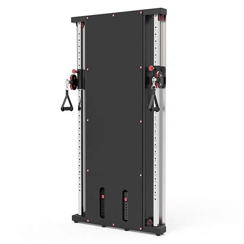 SpaceSmart Wall-Mounted Functional Trainer (2023)