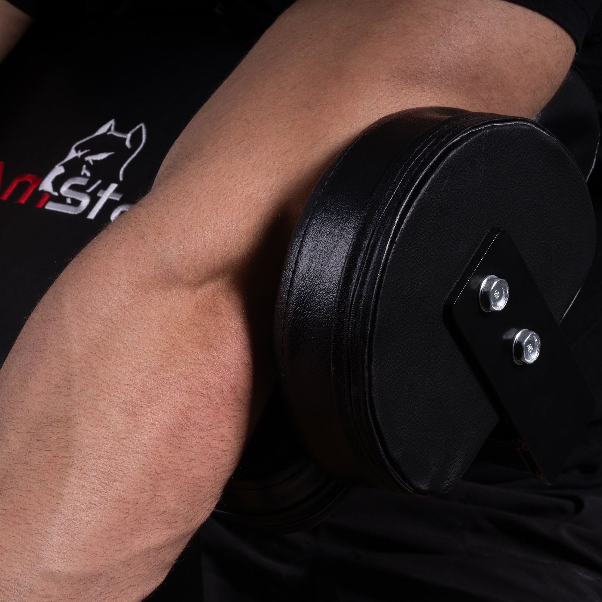 TB011F Preacher Arm Curl Attachment pour banc d'entraînement