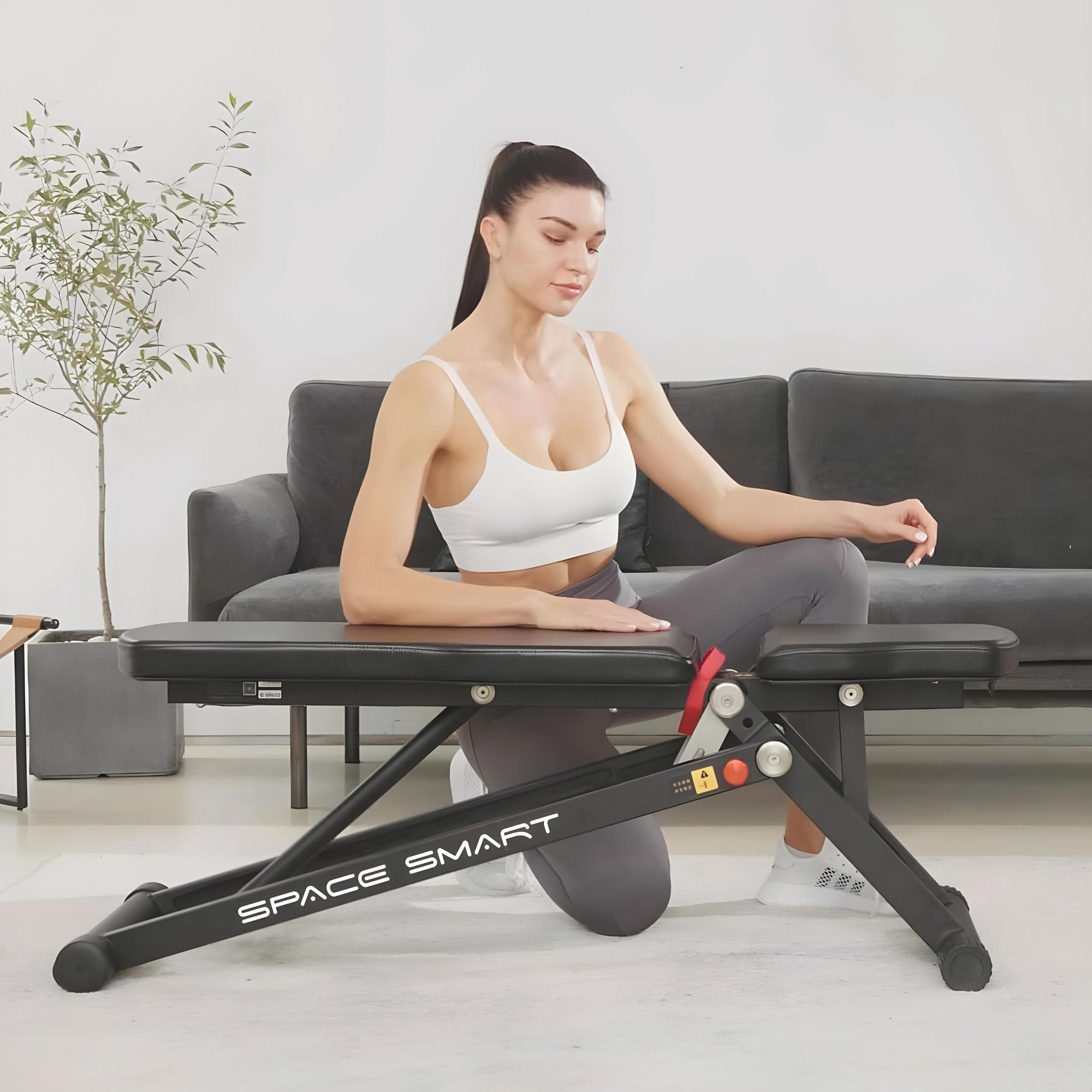 Fitness equipment bench best sale