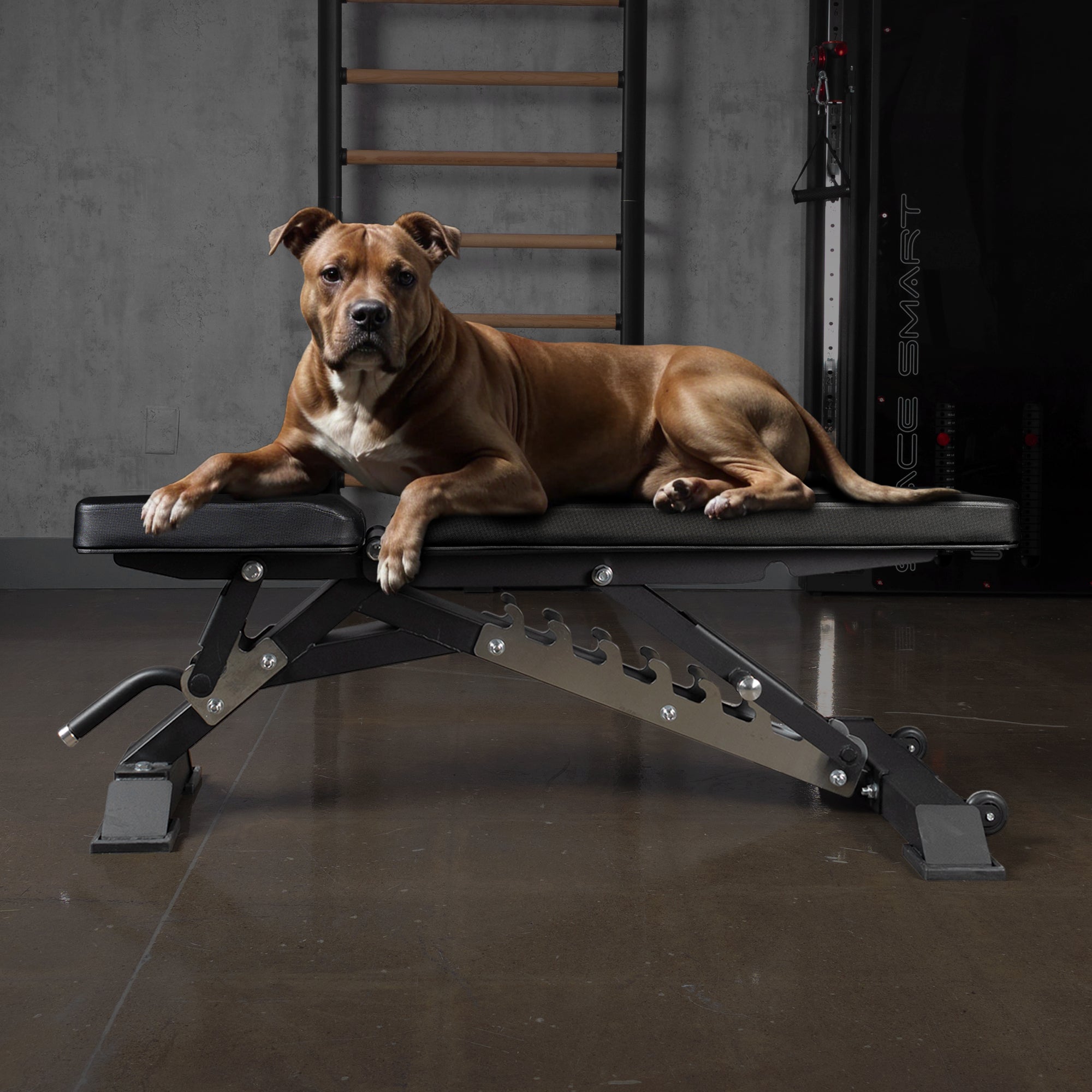 AmStaff Fitness AF-2200 Adjustable Bench