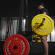 Plaques de pare-chocs colorées AmStaff Fitness 