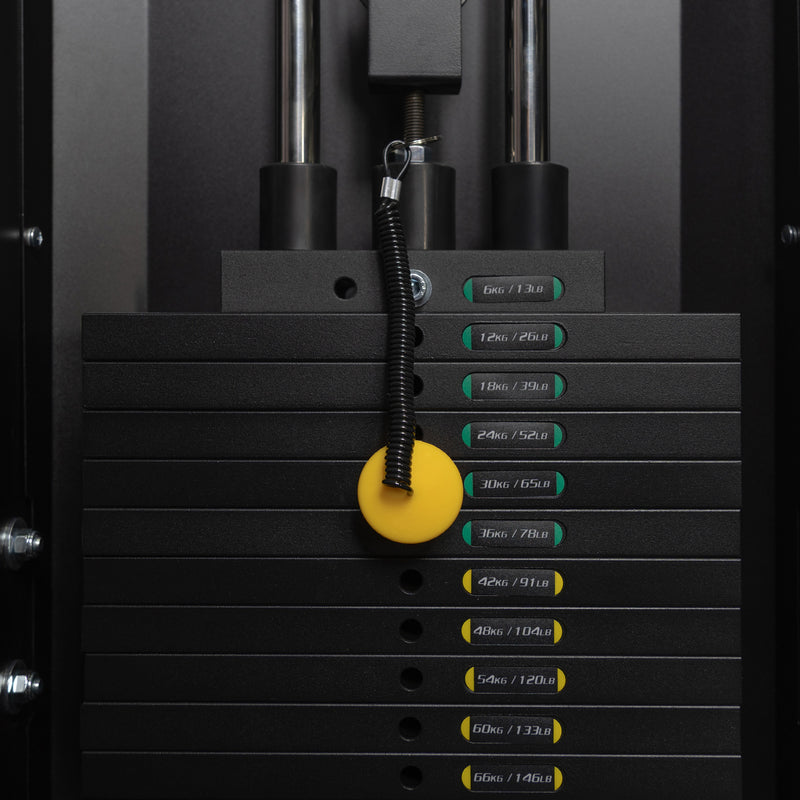 Dual 198 lb Selectorized Weight Stacks