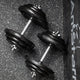 Ensemble de poids d'haltère standard de 1 pouce en fonte de 80 lb