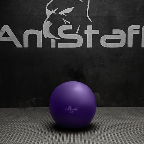 Ballons de pilates lestés 2 lbs JL – Body Gym équipements